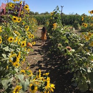 Meet your Posher, Deborah